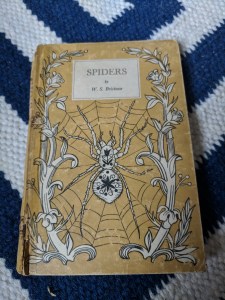 Sinning a Web:Spiders and Tongue-ties